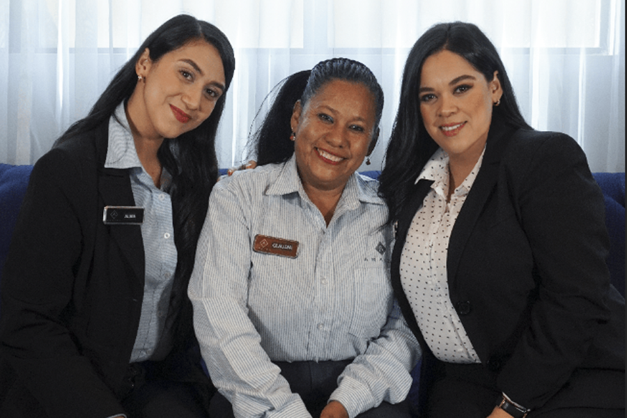 Hoteles Araiza